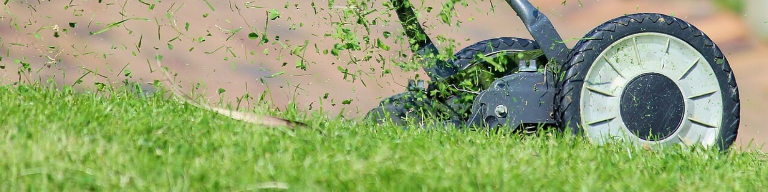 Wanneer moet je je gras maaien?