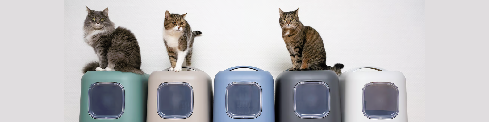 Hoe vaak moet ik mijn kattenbak verschonen?