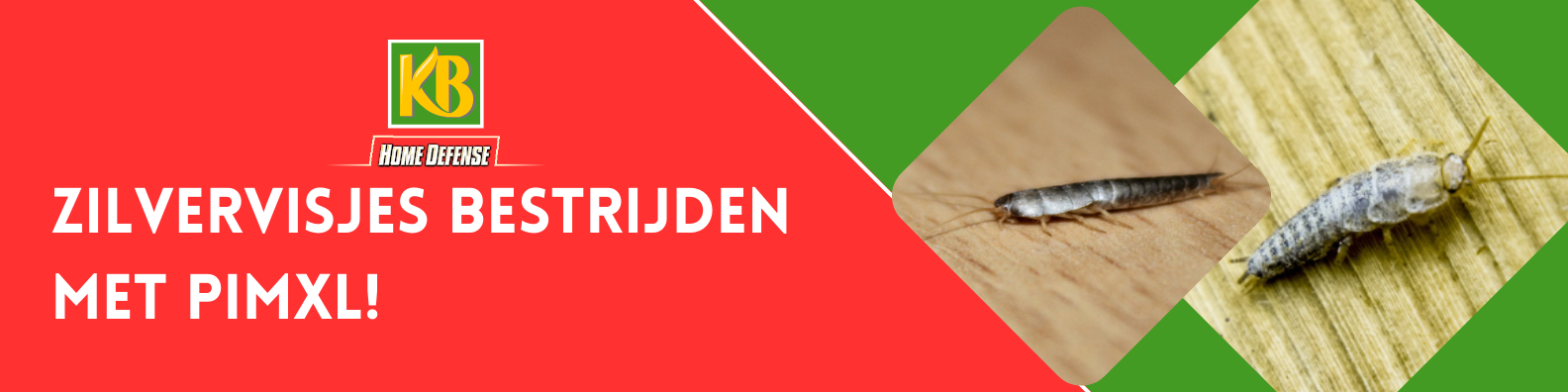 Wat te doen tegen zilvervisjes?